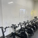 스웻데이 이미지