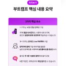 [주말늘봄] 처음배우는 코딩 | 직장인도 가능한 AI LMM 실무 역량 완성 메타코드M 부트캠프 솔직 후기