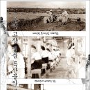 풍기이야기