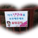 기공 12산악회 4월 정기산행 공지(고려산) 이미지