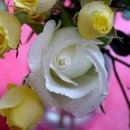 범물종합사회복지관 이미지