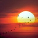 호텔 벨루스 이미지