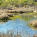 등마루공원 이미지