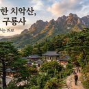 329차 2026년 08월 정기산행(치악산 황장목숲길)안내 이미지