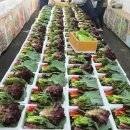 삼육사로12 | 양주농부 이범석 쌈채소 주문하는곳 온라인 주문 – 생생정보 12월12