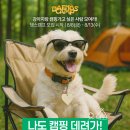 위드댕댕 이미지