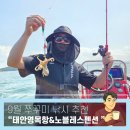 노블레스팬션 | [준비된오늘] 9월 쭈꾸미 낚시 태안 영목항 쭈꾸미 갑오징어 낚시 후기 노블레스펜션 숙소 정보