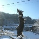 시골풍경 이미지