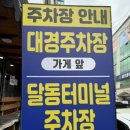 제갈콩명 이미지