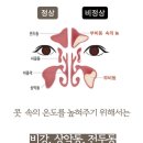 내돈내산 어린이 베이휴 편백 코찜질팩 후기 | 부비동 비염 콧물 코막힘 완화