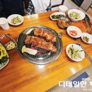 도도한암퇘지 이미지