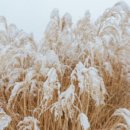 화산체육공원1 이미지