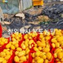 성주농원 이미지