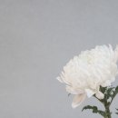 거기그곳에 이미지