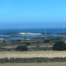 메르블루 이미지