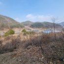 돈대리