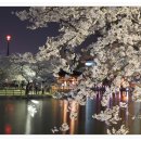 운천저수지 이미지