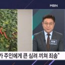 장미 MBN