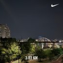 25년 6월 반쪽 월간일기/1-2주차 바쁘다바빠 다영사회
