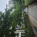 향수다방 - 126208 | [서울과기대 맛집] 딸과의 버킷리스트 데이트, 경춘선공릉숲길 '아소코' & 레트로 카페 '금성다방' 후기