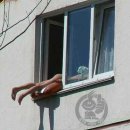 쎈텐 - 성남시 분당구 돌마로356번길 3 | 쎈텐