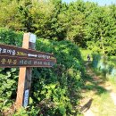 충무공이순신만나러가는길 이미지