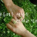당신을 만나고 싶어 Daum카페