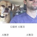 UR(오산시)-[북삼미로]-하-6 | 아가리 운전러의 운전면허 취득기-3. 도로주행 연수, 도로주행 불합격과.. 재시험