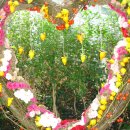 좋은생각 이미지