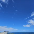 섭지코지 | [제주도] 여행 필수코스 섭지코지 제주도 여행 섭지코지 후기 (주차장 및 안내)