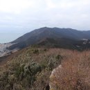 금화고속관광