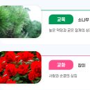 경북일고등학교 건너편 | (일반고) 경북일고등학교 2026 신입생 입학안내, 학교안내