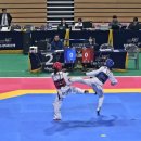 천년태권도 이미지