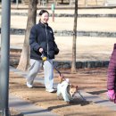 팅커벨 이미지