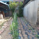 강림이용소 이미지