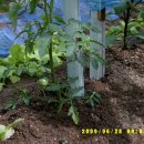 운경농장 이미지