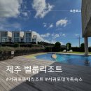 벨룸(Velum)리조트 | 서귀포 가성비숙소 대가족숙소 독채리조트 내돈내산 벨룸리조트 수영장 오션테라스룸 후기