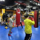 천마권투체육관 이미지