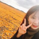 효준목장 네이버블로그
