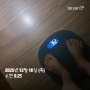 에너지박스 | 운동기록 31주차 목요일 정관장 활기력 에너지박스 여는 법 효과 먹어본 후기