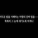 메가투어 - 광진구 구의강변로 79 | 메가투어