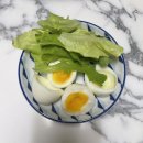 스콘단단씨