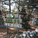 화동초등학교 Daum카페