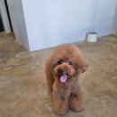 오도독뽀도독 이미지