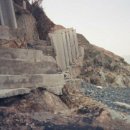 매미농장 이미지