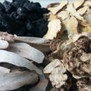 바로스탑한의원 이미지