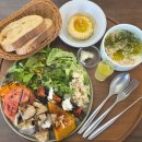 지중해 | 전주 효자동 맛집 '올리빈' 지중해 브런치 오픈런 후기