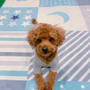 주견야독 이미지