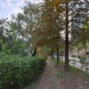 GS25 뚝섬유원지점 이미지