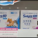 이로운 동물약국 이미지